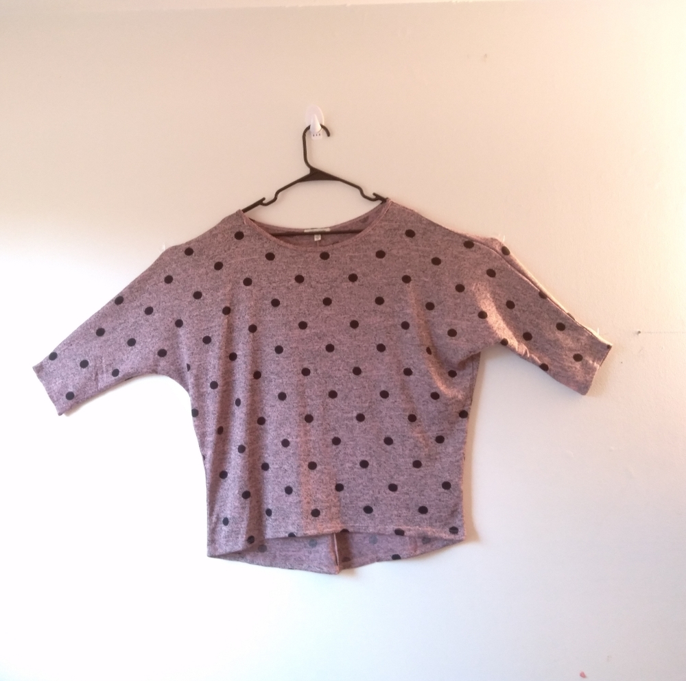 1X Plus Pink Polka Dot sweater